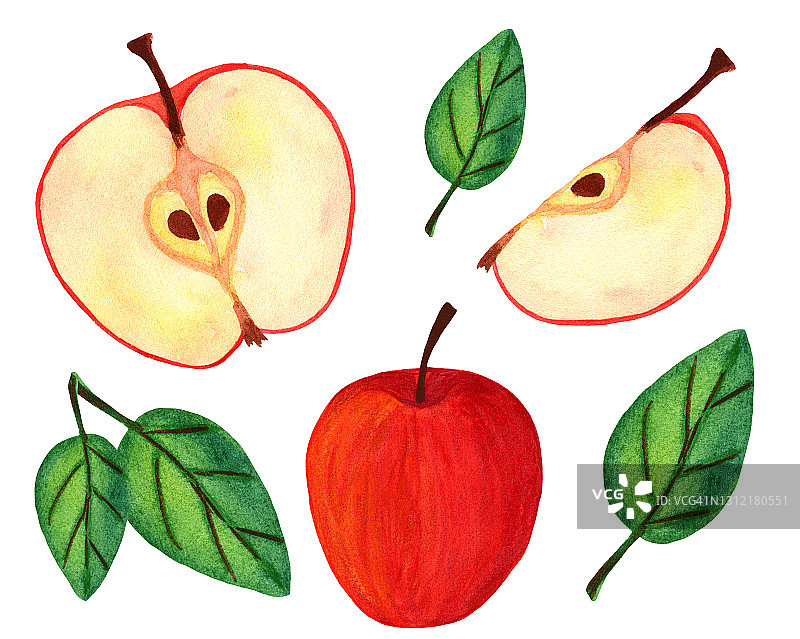 红苹果，一半有种子和叶子收集孤立在白色的背景图片素材