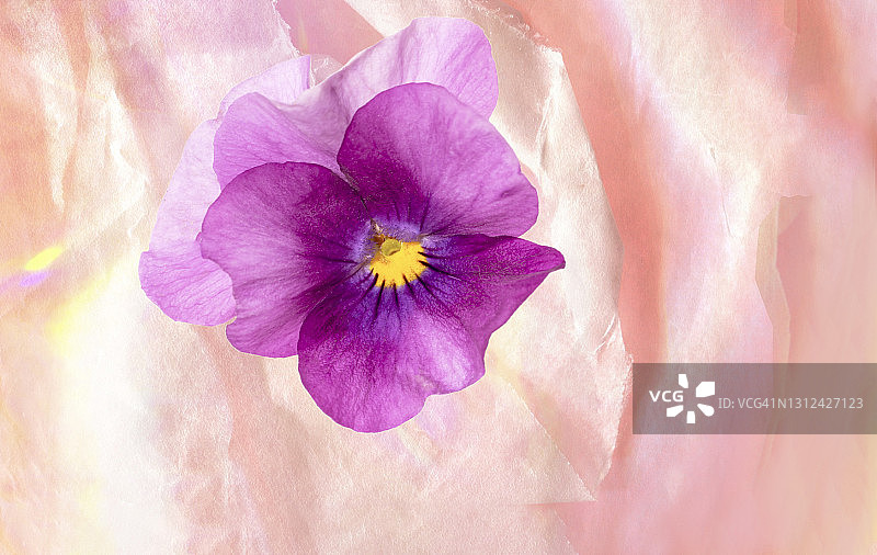 创意背景与春天的花在蜡笔水彩模糊的纸背景。图片素材