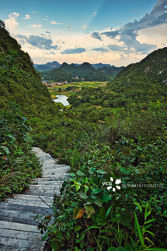 中国桂林附近阳朔的喀斯特山和稻田图片素材