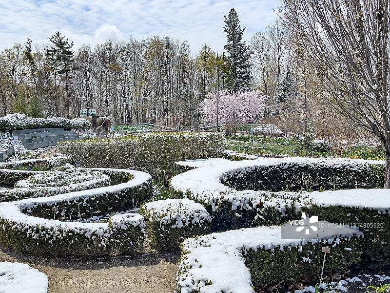 爱德华花园与雪在春天，多伦多，加拿大图片素材