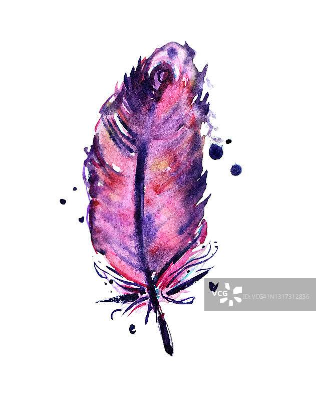水彩画波西米亚粉色和紫色羽毛图片素材