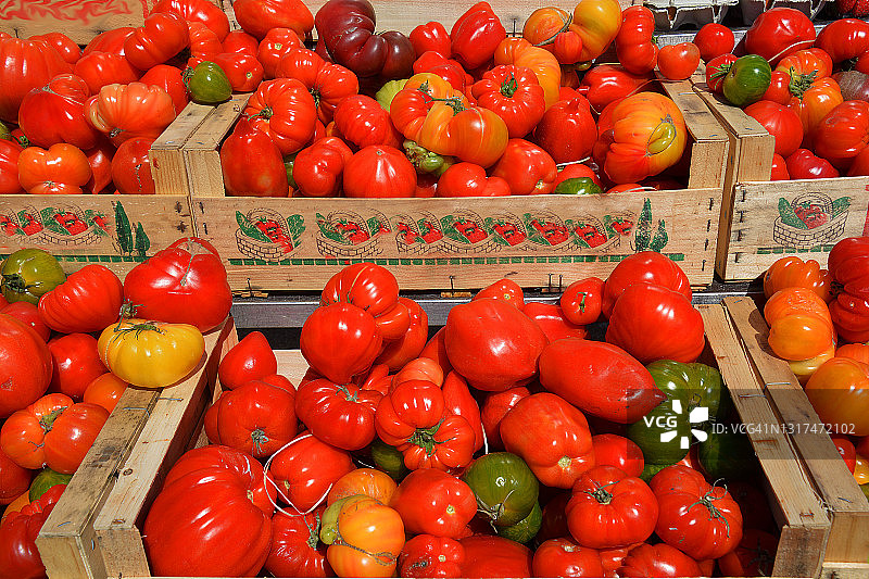 西红柿法国市场图片素材