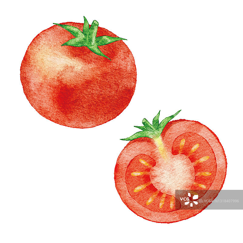 水彩红色的西红柿图片素材