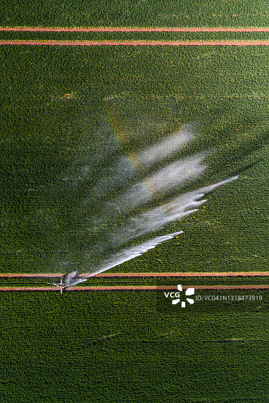 农业喷灌机直接从上方拍摄，英国，英国图片素材