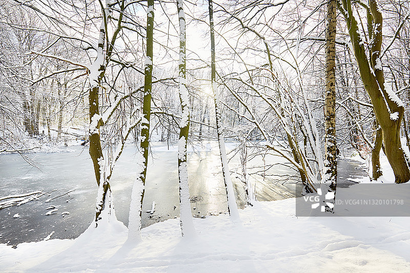 冬天的风景在森林冰冻的湖图片素材