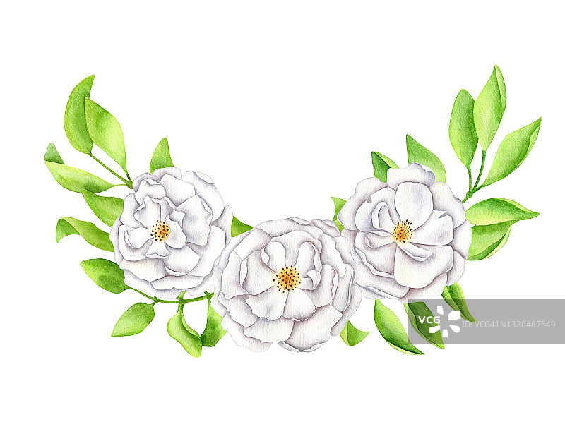 水彩花卉摆设。手绘的白色花园玫瑰花和叶子。绿色植物用于卡片，婚礼请柬，节省时间，迎婴派对。优雅的花框架孤立在白色背景。图片素材