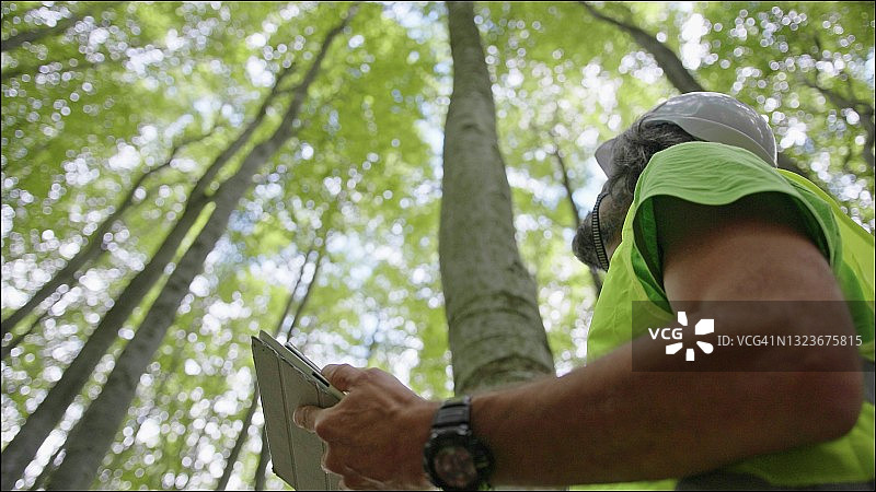 生态学家在野外工作。林务员检查森林中树木的自然状况，并采集样本进行深入研究。生态系统的保护和可持续性。图片素材