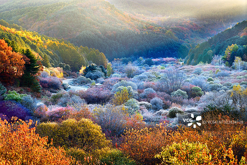 韩国仁秘密花园景观图片素材