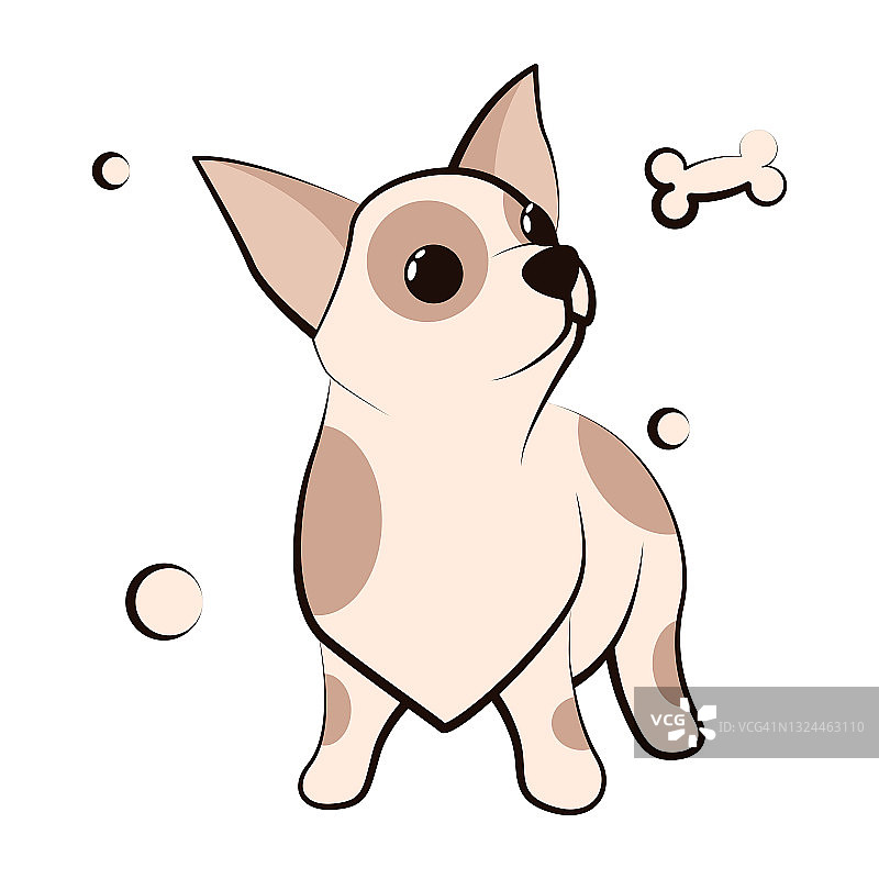 可爱的卡通矢量插图图标的吉娃娃小狗狗。它是平面设计。图片素材