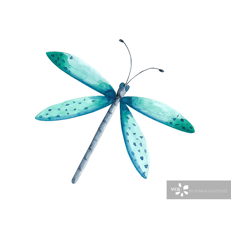 薄荷绿蜻蜓剪辑艺术图片素材