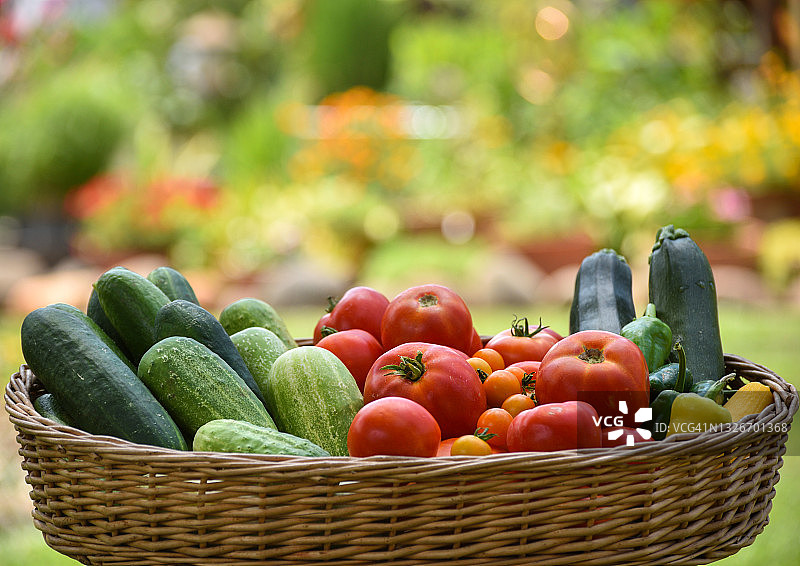 一篮子从花园里摘来的新鲜蔬菜。图片素材