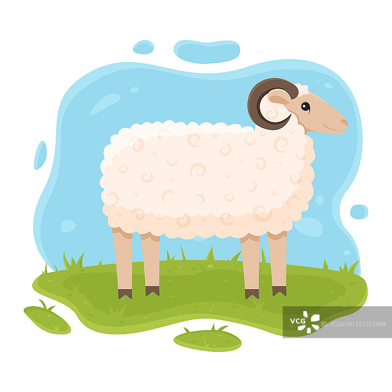 绵羊在草地上吃草。公羊站在地里。对儿童插图。图片素材