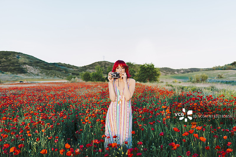 红发女子手持相机站在罂粟田里图片素材