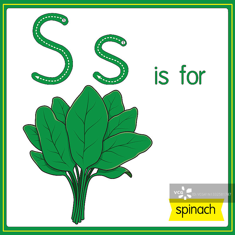 矢量插图学习字母为儿童与卡通形象。字母S代表菠菜。图片素材