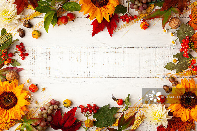 秋天收获或感恩节的概念。图片素材