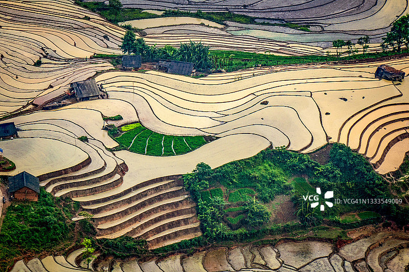 越南北部老街省的水稻梯田图片素材