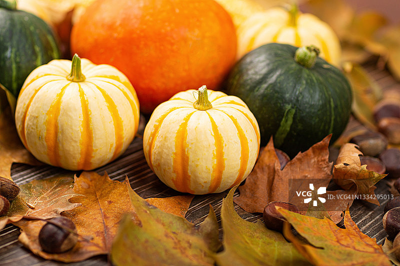 秋天的构图用南瓜、玉米、树叶和栗子放在棕色的木桌上。秋天收获或感恩节的概念图片素材