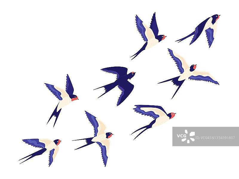 扁平的小燕子鸟群在空中飞翔。卡通谷仓的一群燕子在天空中自由飞翔。和平的矢量插图与鸟图片素材