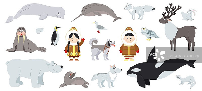 极地动物。可爱的北极动物，海象熊鲸。有趣的南极平原野生动物，企鹅和阿拉斯加宝宝与狗。爱斯基摩文字象样的向量集图片素材