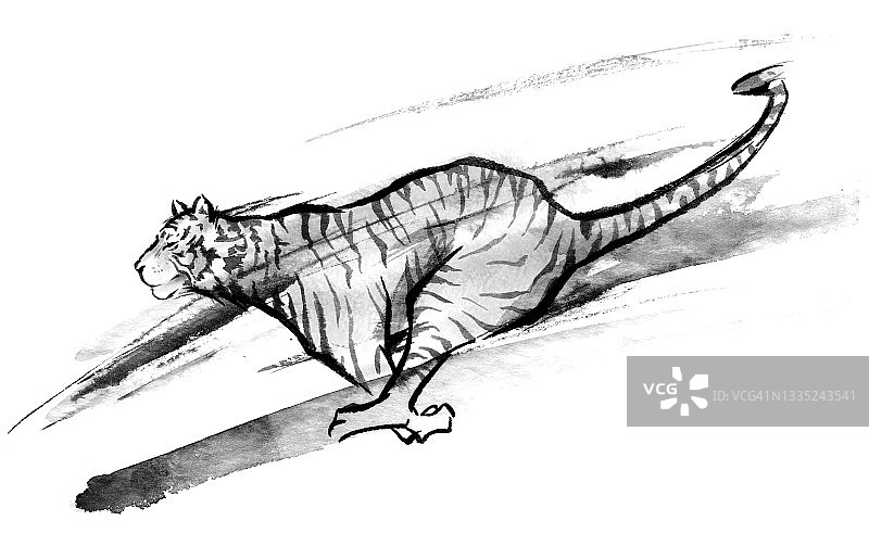 水墨画上一只老虎在全速奔跑图片素材