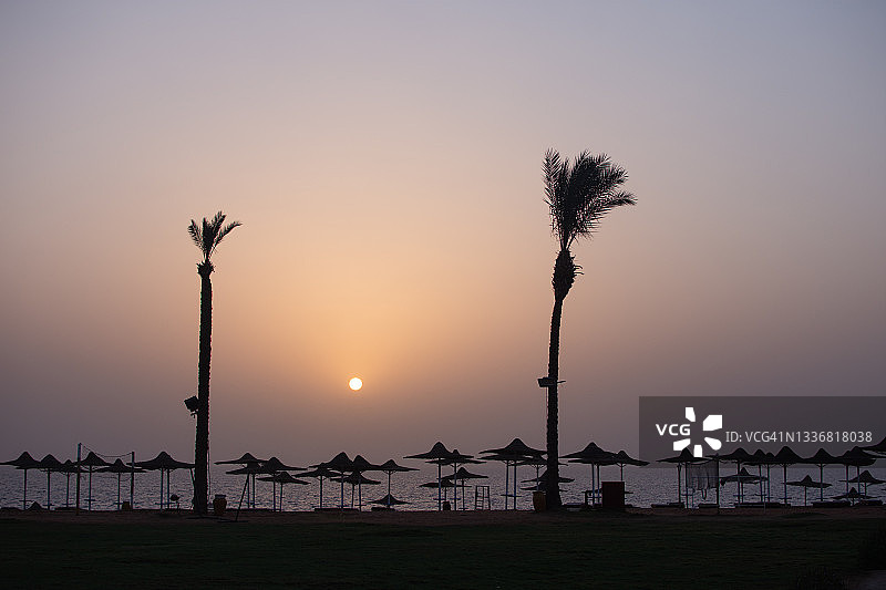 日落或日出时的海滩、雨伞和棕榈树图片素材