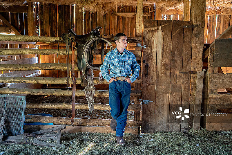 在科罗拉多州西南部落基山脉的威尔逊山和特柳赖德附近，一个14岁的男孩在一个乡村谷仓的围栏上拍照图片素材