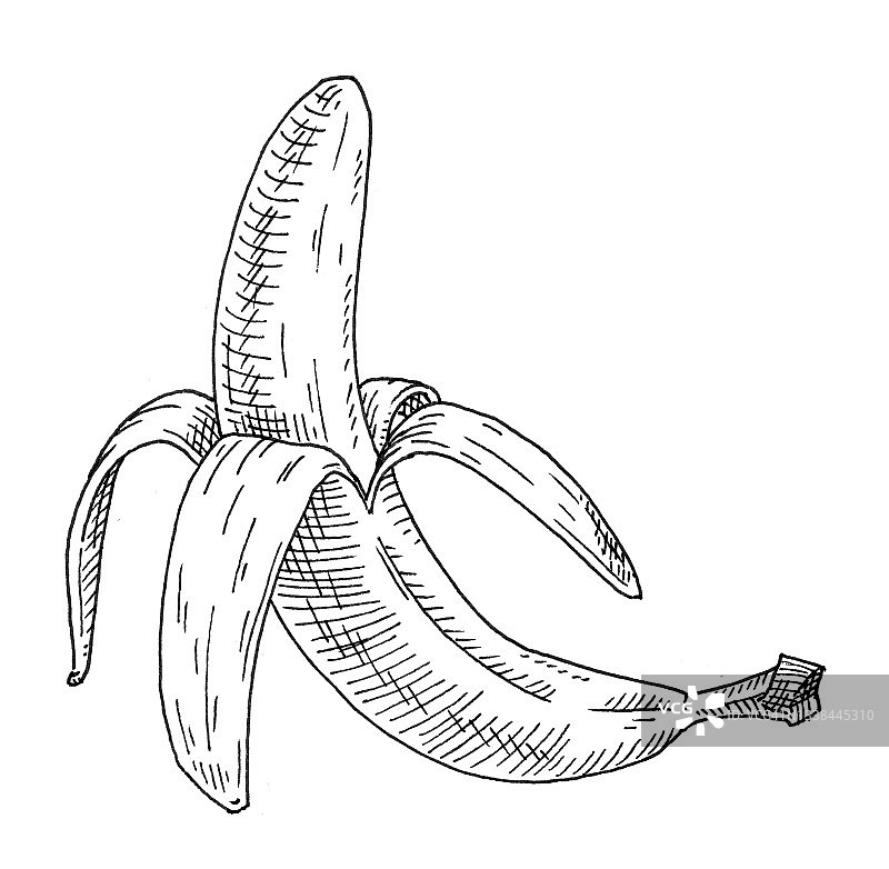 香蕉去皮的一半。古董雕刻黑色单色插图。孤立在白色图片素材