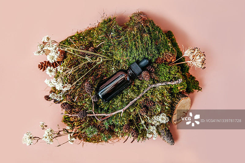 血清玻璃瓶上带有移液管组成的苔藓、花卉等自然装饰物图片素材