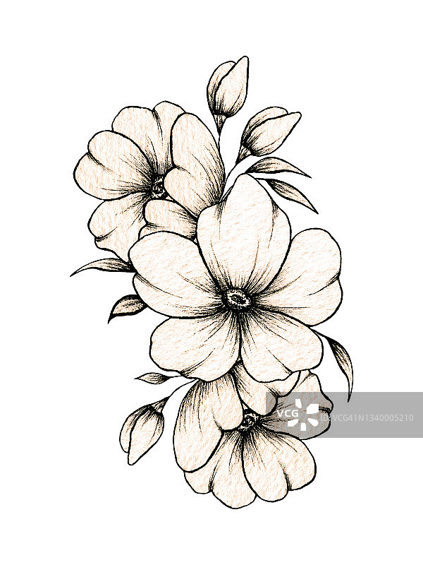 简单的手绘花卉构图，各种大大小小的花朵和叶子孤立在白色的背景上，温馨的水墨绘制单色优雅的复古风格的花卉构图图片素材