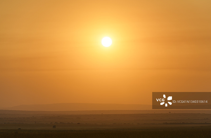 肯尼亚马赛马拉大草原上日出时的柔和橙色图片素材