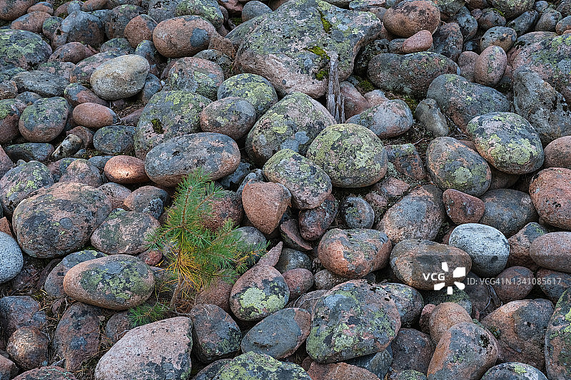 Skuleskogen国家公园的鹅卵石场图片素材