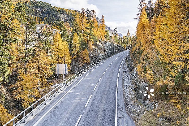 瑞士，马洛加隘口，布雷加格利亚山谷，秋天蜿蜒的道路。图片素材