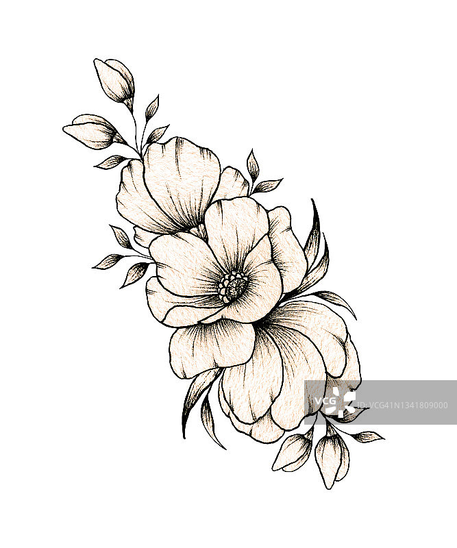 优雅的手绘花束，各种大大小小的花朵和叶子孤立在白色的背景上，温馨的水墨画单色复古的优雅花朵构成图片素材