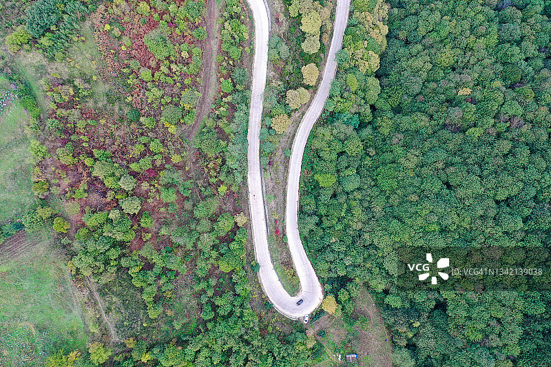 蜿蜒的道路。穿过森林的田园诗般的蜿蜒道路。图片素材