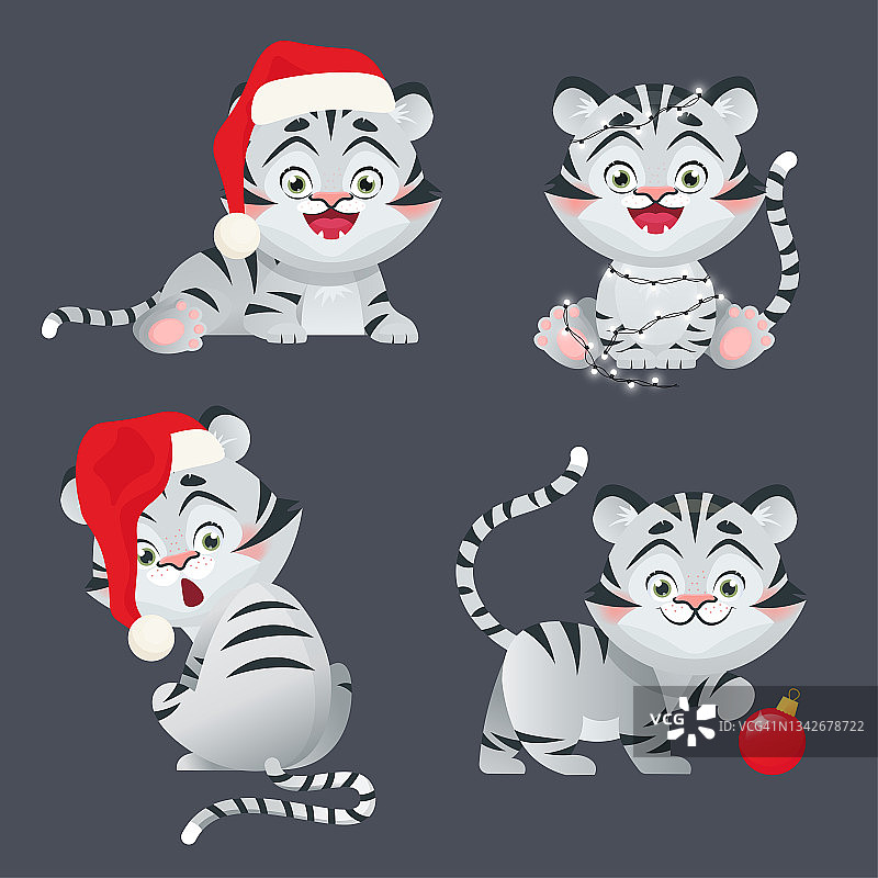 白虎作为2022年新年的象征，在圣诞老人的帽子和其他圣诞装饰。中国的星座。卡通矢量图图片素材