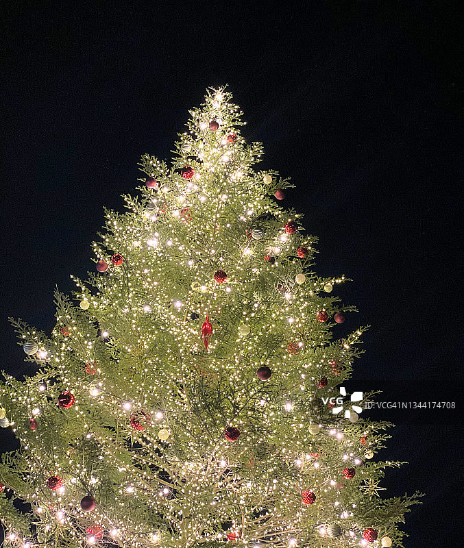 一棵大圣诞树在晚上点亮了。图片素材
