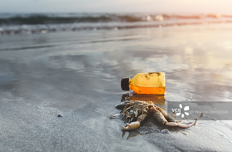 塑料垃圾污染了海滩环境。图片素材