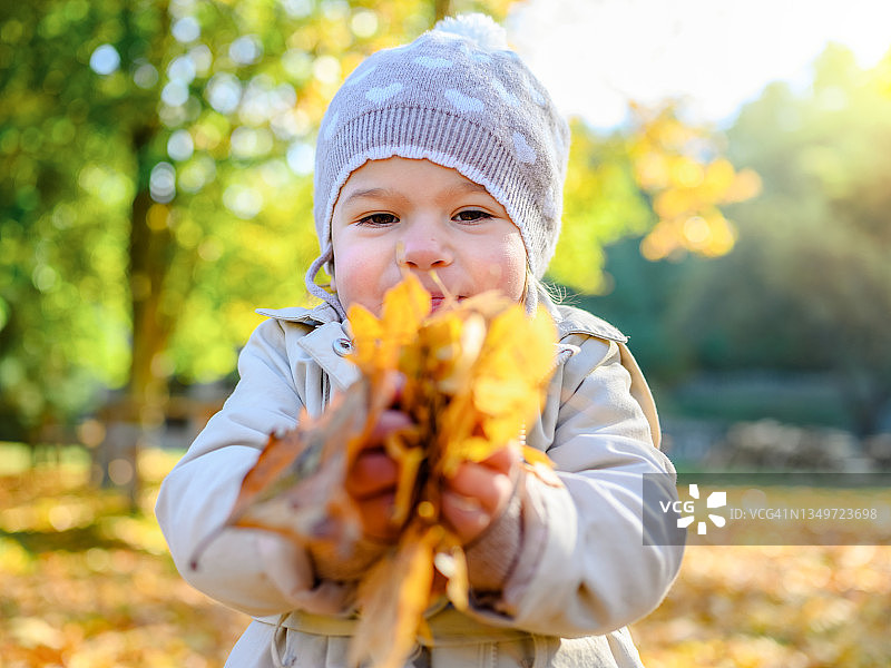 可爱的小女孩在秋天的公园里玩耍图片素材