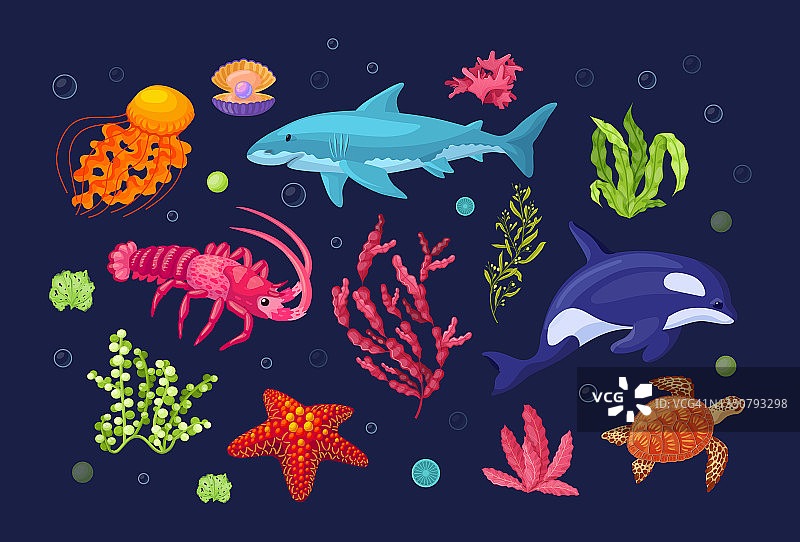 海洋和海洋水下动物与海洋植物群。虎鲸、海龟、龙虾、章鱼、海星、水母、海豚。海洋植物珊瑚礁，水下海藻，海藻，海带图片素材
