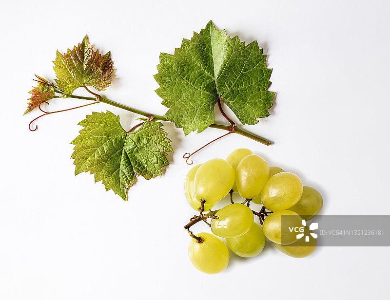 白色背景上的一串白葡萄和葡萄叶子。图片素材