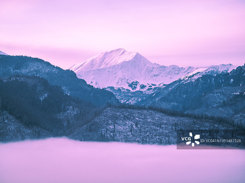 超现实的紫色山脉，有黑暗的森林和雾图片素材