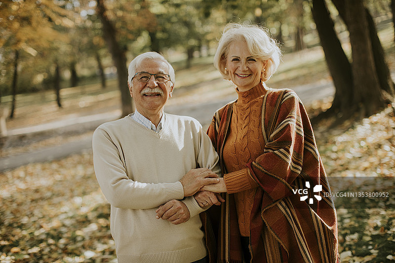 老夫妇在秋天的公园里拥抱图片素材