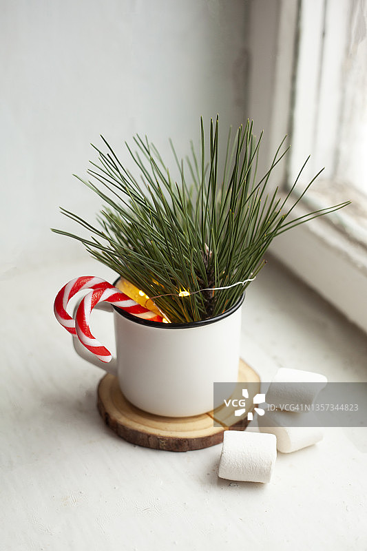 白色的杯子，上面有松枝、拐杖糖、仙女灯和棉花糖。圣诞贺卡。图片素材