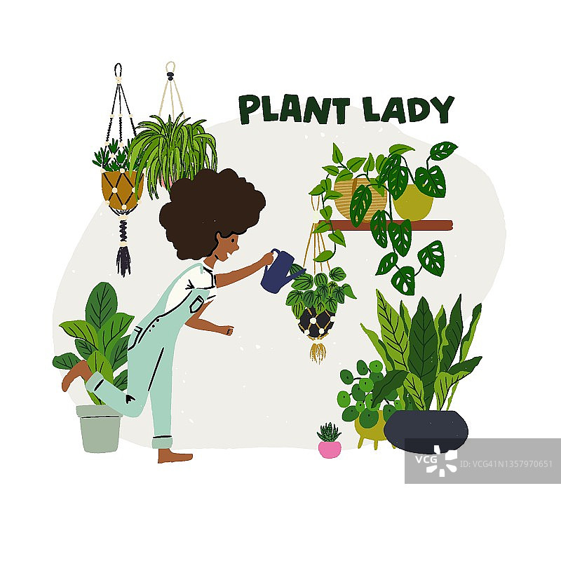 家庭植物和妇女浇水植物图片素材