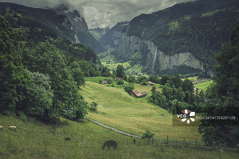 瑞士山谷的田园风光图片素材