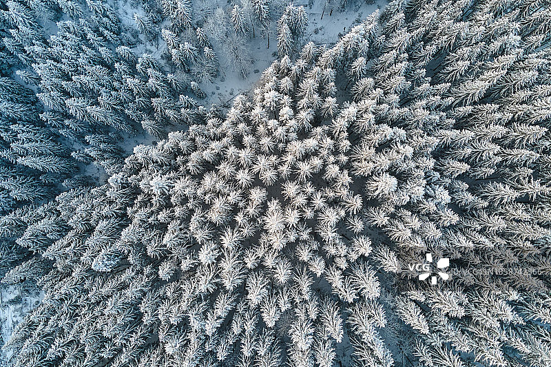 从上到下的鸟瞰图的雪覆盖常绿松林后，大雪在冬天的山区森林在寒冷安静的一天。图片素材