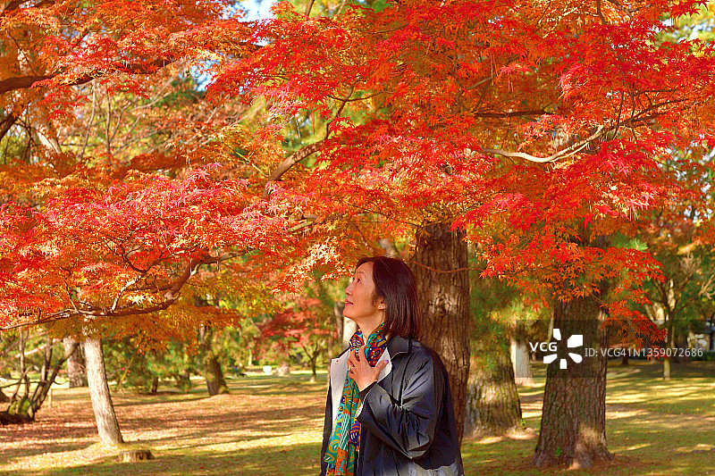 日本妇女在京都公园里享受秋叶的颜色图片素材