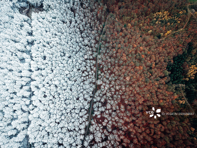 冬季森林的冬季鸟瞰图图片素材