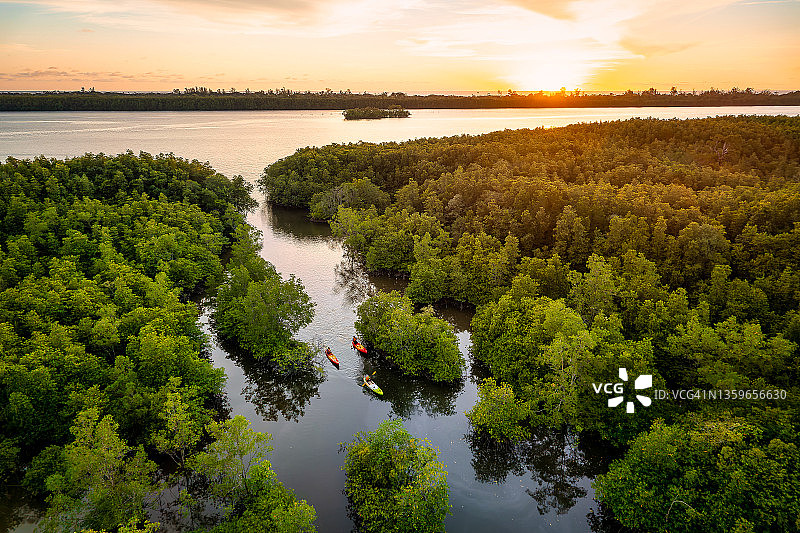 无人机群男子划艇在运河与红树林环绕在美丽的日落场景图片素材