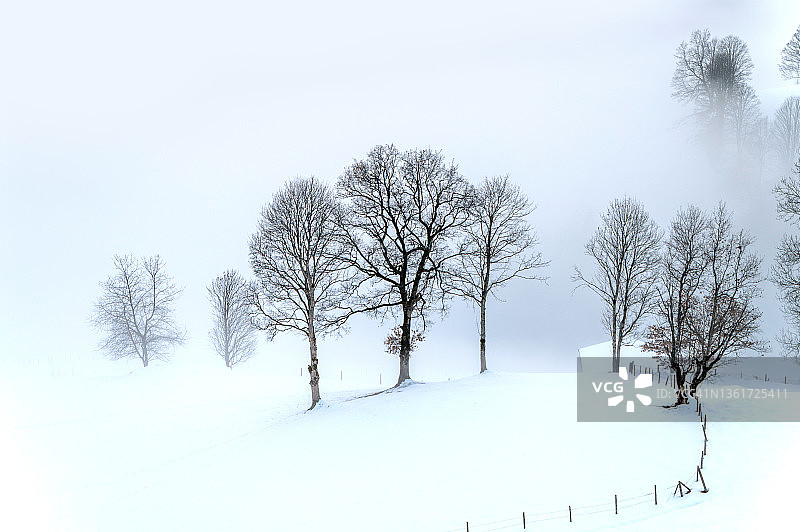 冬天的景观，雪，树和云在背景中图片素材